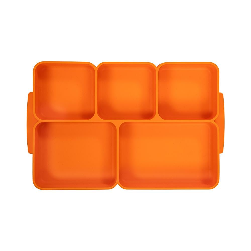 BBFX-TRAY_Orange!5 Compartment